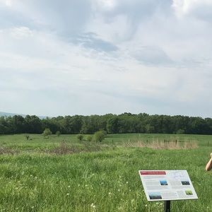 Meet your Posher, Will